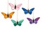 Butterflies Pre-Cut Stained Glass Kit-Make Your own Beautiful Glass Project.
